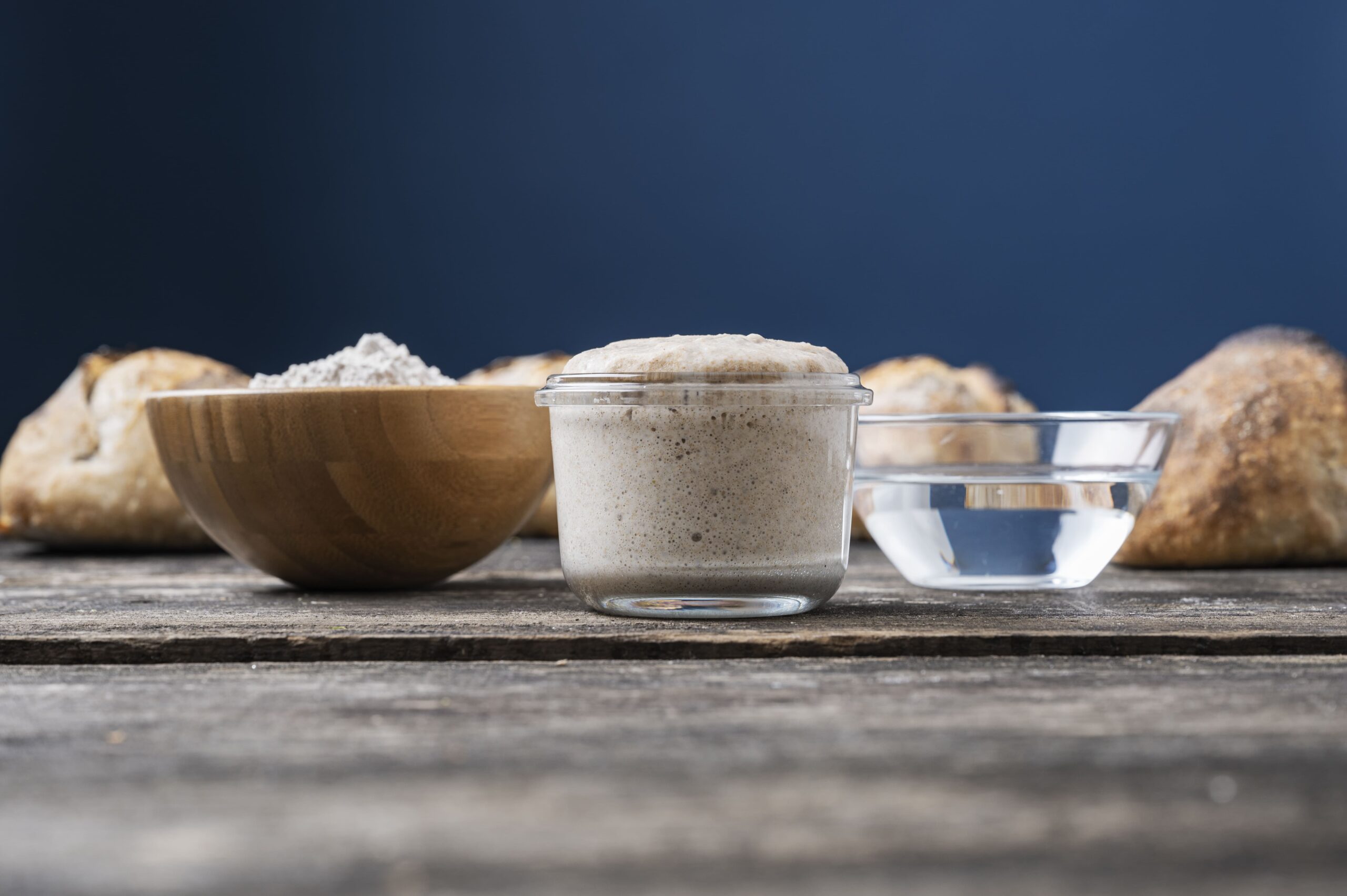 La masa madre para principiantes